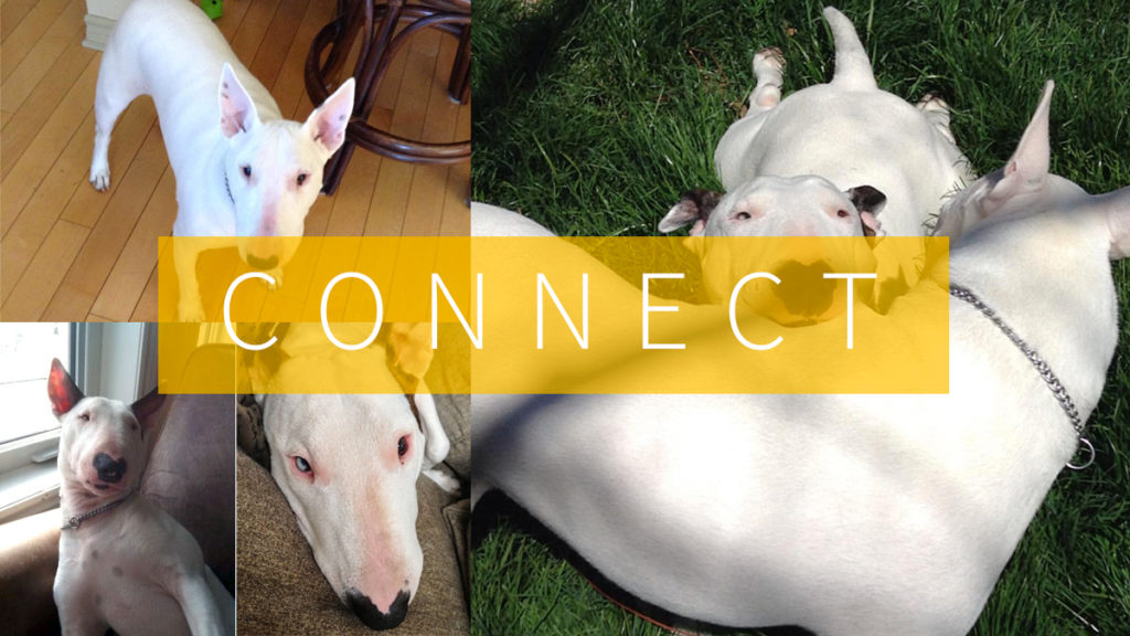 Alan Cross From A Journal Of Musical Things Daily Newsletter