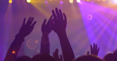 group of people in a concert