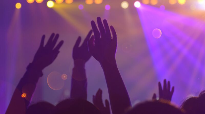 group of people in a concert