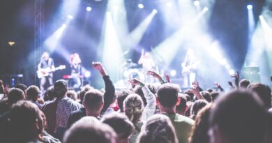 crowd in front of people playing musical instrument during nighttime