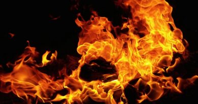 photograph of a burning fire