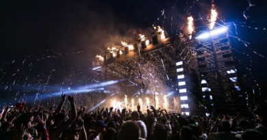 people having a concert