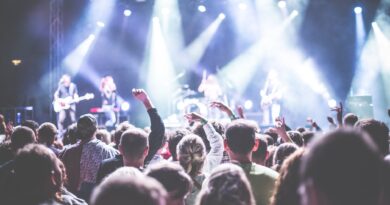 crowd in front of people playing musical instrument during nighttime