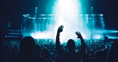 silhouette of people in front of stage