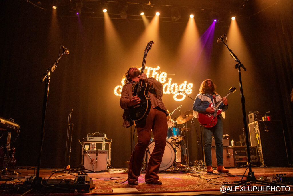 Sheepdogs