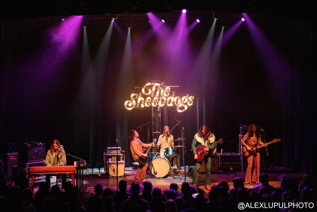 Sheepdogs