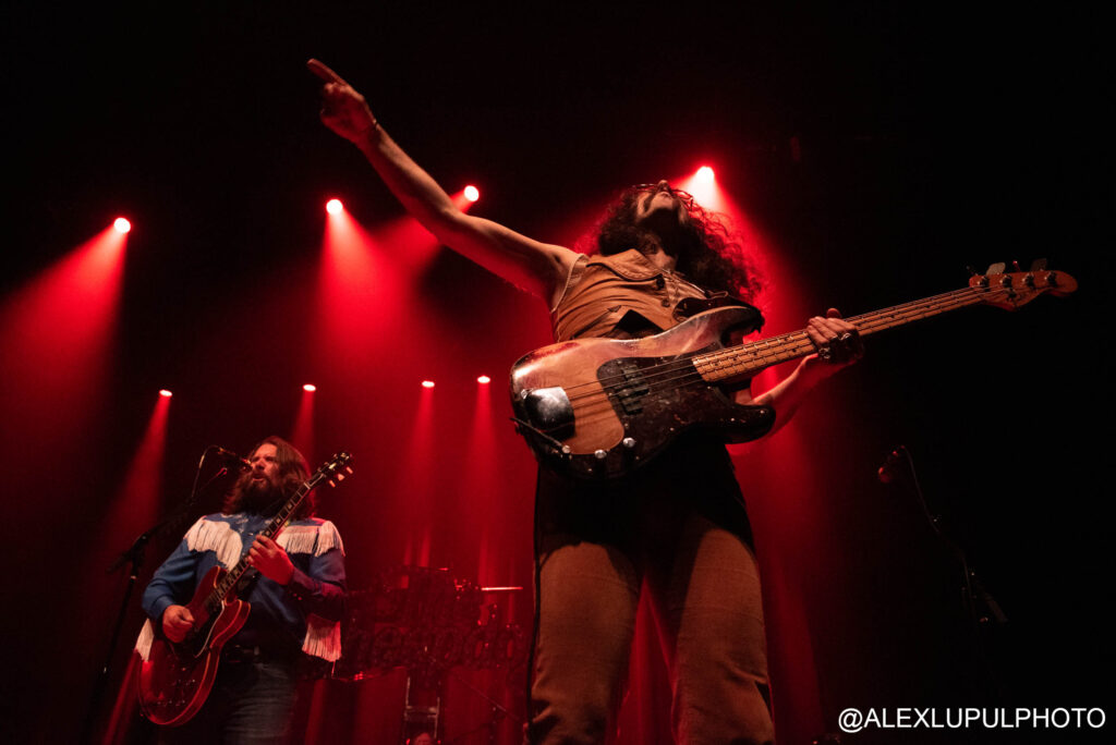 Sheepdogs