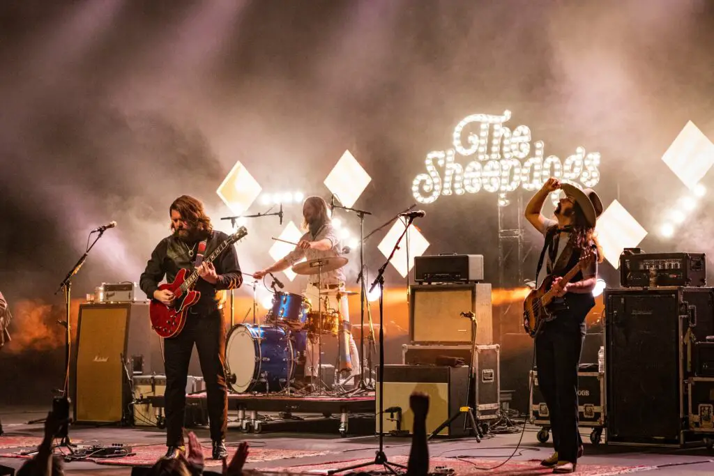 The Sheepdogs
