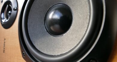 closed up photography of brown wooden framed sony speaker