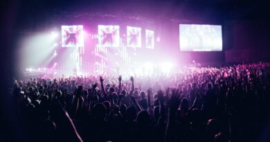 people in concert