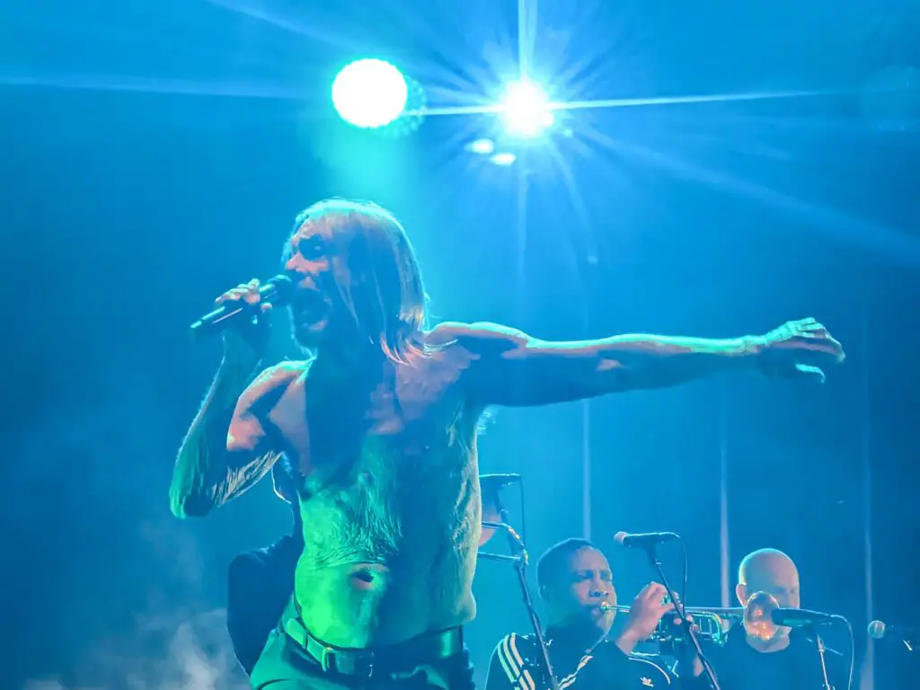 iggy pop