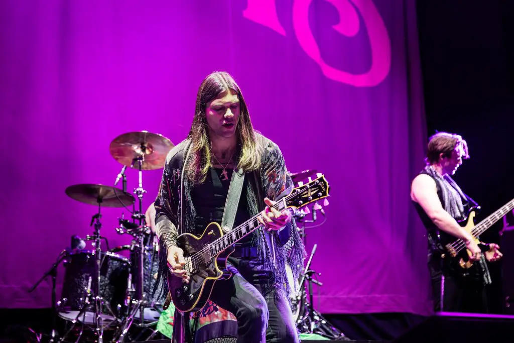 the struts ottawa