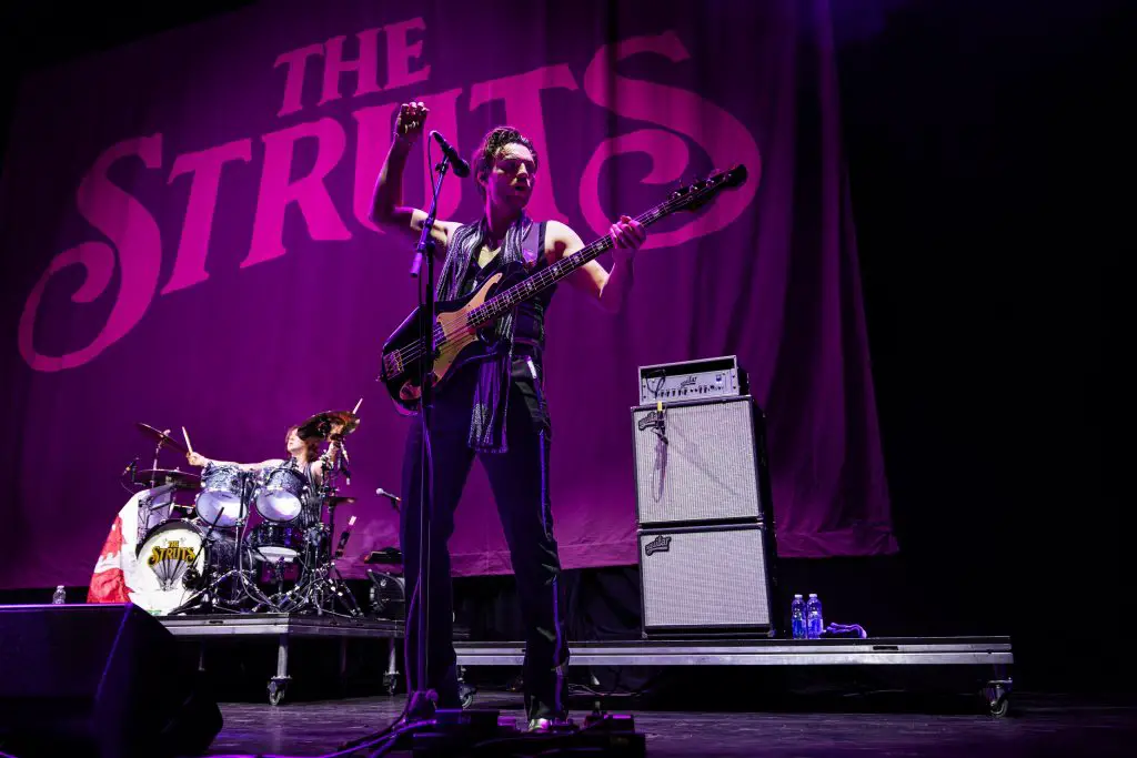 the struts ottawa