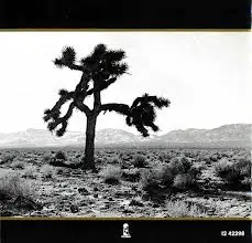 U2 On 'The Joshua Tree,' A Lasting Ode To A Divided America : NPR