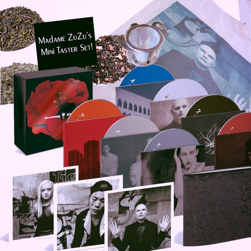 A 107Track Deluxe Set of the Smashing Pumpkins